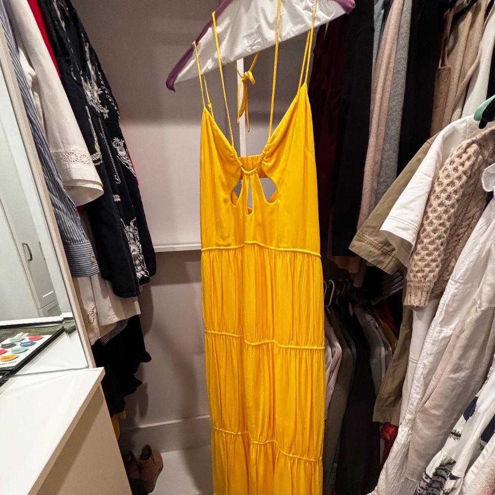 Jonathon SIMKHAI Daffodil Lina Maxi dress